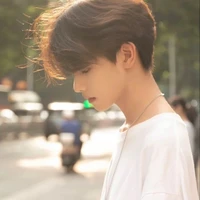 Vương Song Tử