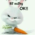 quần chúng hóng hớt tám chuyện