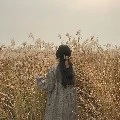 Tất cả các người hầu