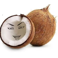 kokonoi