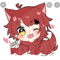 Hachi