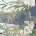 bố của tất cả nhân vật