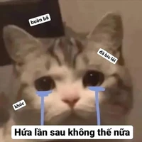 t/g quê nhất tg