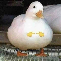 All
