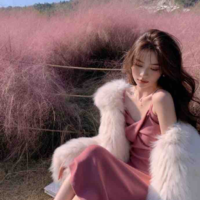 Chu Vận Xử Nữ