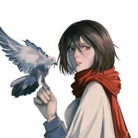 Mikasa Ackerman 