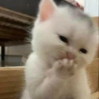 tác giả