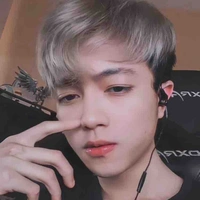 Hoài Việt - Mister Vịt
