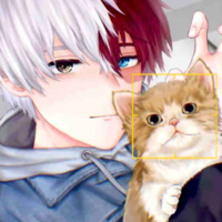 Todoroki Shouto 