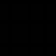 nv phụ