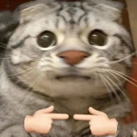 Ngôn Nhất T/g