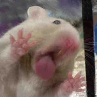 Boss chan ( tác giả)