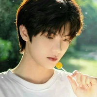 Đinh Xử Nữ