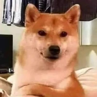 linh mê chữa milo