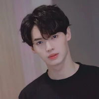 Win Metawin