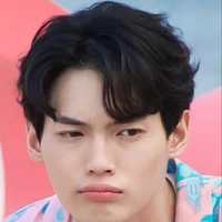 MetaWin
