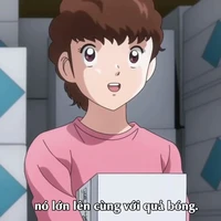 Mẹ của Tsubasa