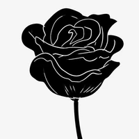 Abbey Nguyễn-tác giả