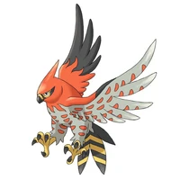 Talonflame