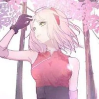 Haruno sakura