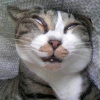 Tác Giả 🥭 𝓧𝓸à𝓲 🥭 Trầm Tính!