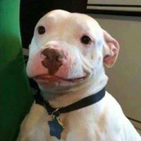 𝗰𝗵𝗶𝗳𝘂𝘆𝘂