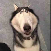 𝘀𝗲𝗶𝘀𝗵𝘂