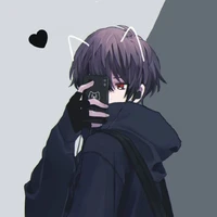henkai (t/g)