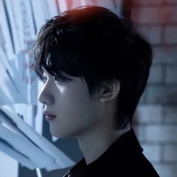 Đinh Trình Hâm(🦊)