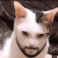 2 thằng đực rựa