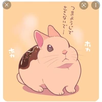 Tác giả cutiii