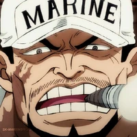 akainu