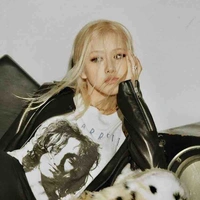 Park Chaeyoung 