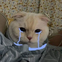 Bà tác giả bị lãng quên 🥺🤧☺️😇💩