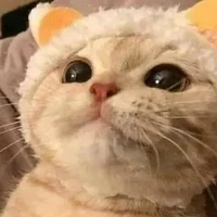 Tác giả đang 😴