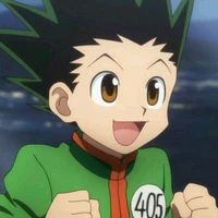 Gon Freecss
