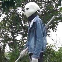 Lost sans