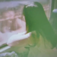 Vu Hoang Thien Han(Amy)