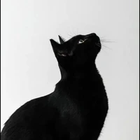 Yao(Phúc dạng mèo)