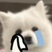 Tác giả đáng iu😘