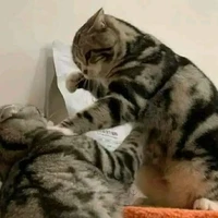 Tất Cả Nhân Vật