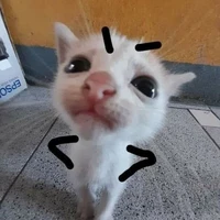 Tác giả 2: Thảo chà nel