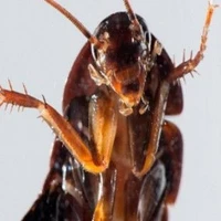 ừ