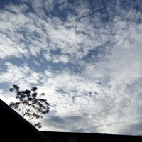 Nhân vật quần chúng