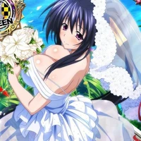 Akeno Himejima