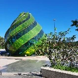 mọi người