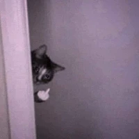 Me:3
