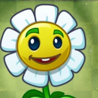 Marigold