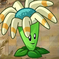 Bloomerang