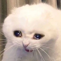luật sư lỏ